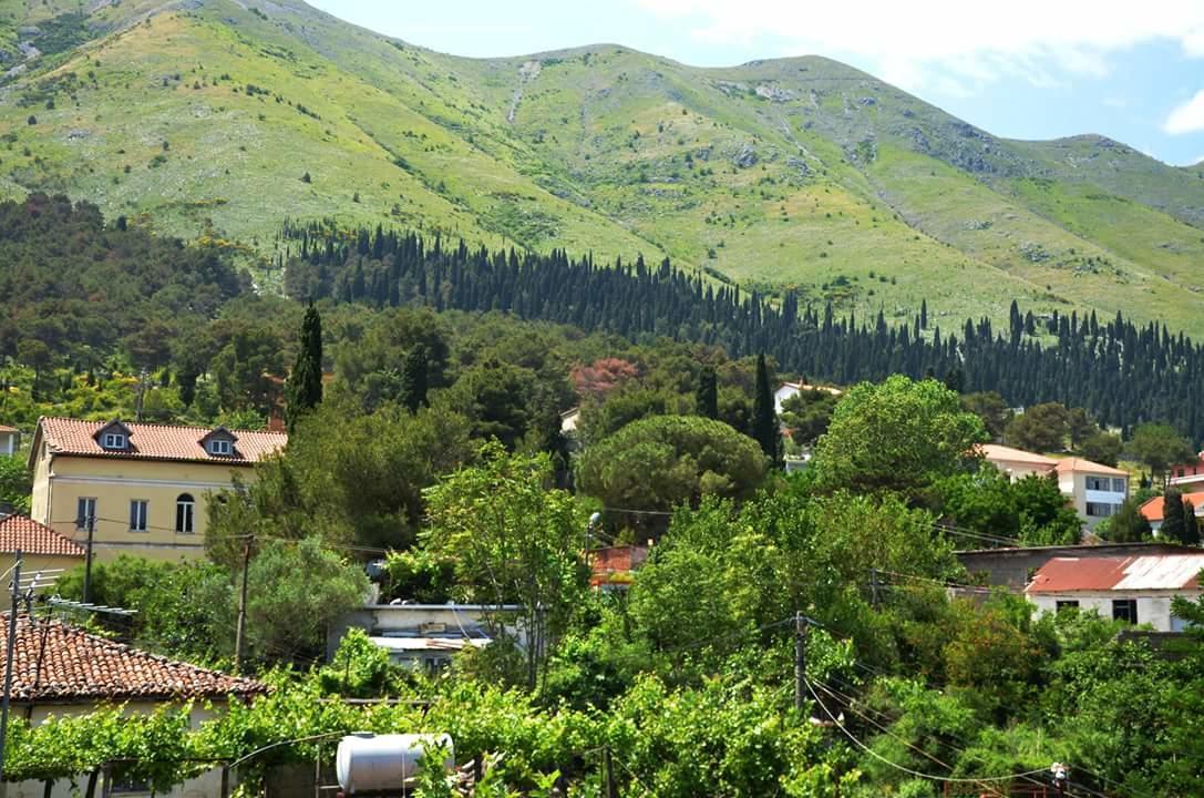 Hotel Shkodra Lake Shiroka Exterior photo